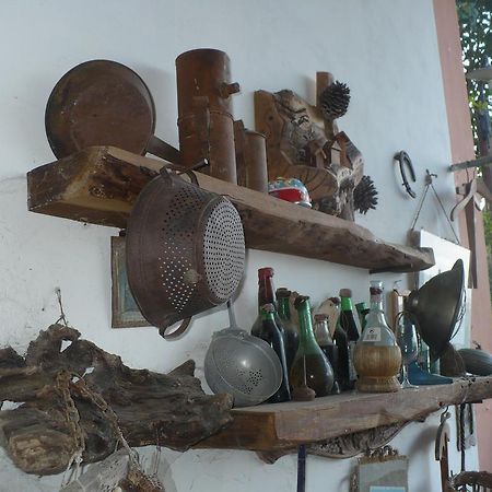 סן ג'ימיניאנו Agriturismo Podere Poggio Ai Cieli מראה חיצוני תמונה