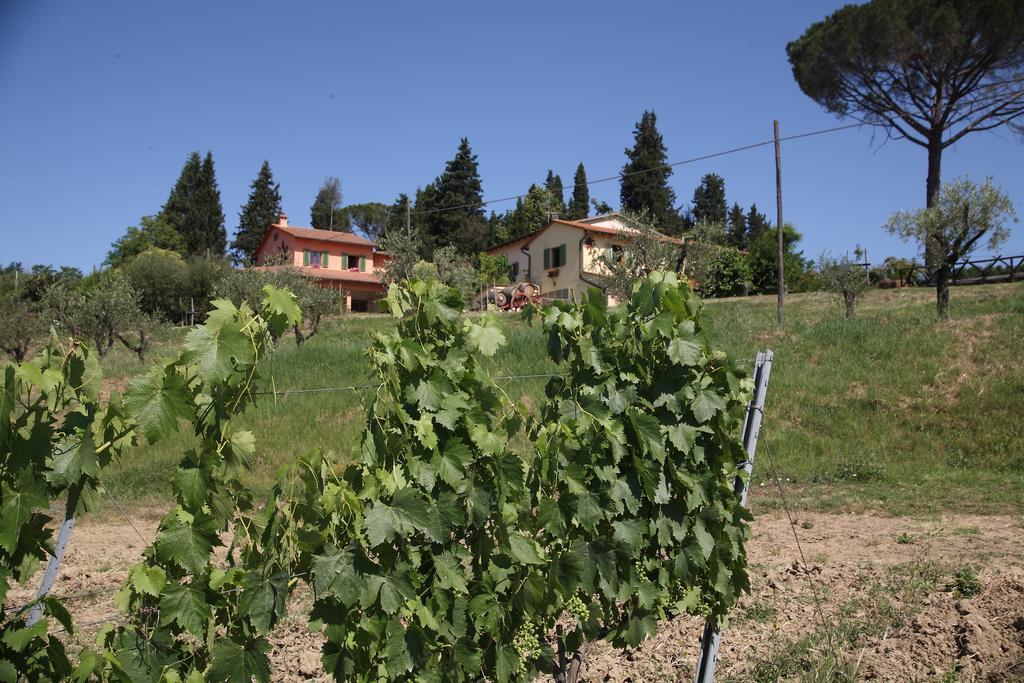 סן ג'ימיניאנו Agriturismo Podere Poggio Ai Cieli מראה חיצוני תמונה