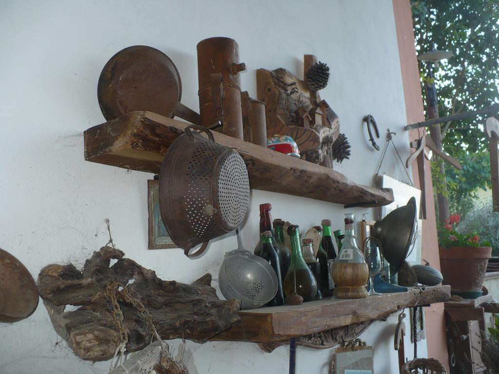סן ג'ימיניאנו Agriturismo Podere Poggio Ai Cieli מראה חיצוני תמונה